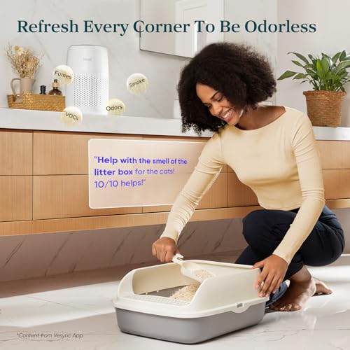 Air Purifiers for Bedroom Home Pets Dorm Room, Small Air Purifiers, view 5