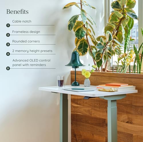 Duo Standing Desk, Adjustable Standing Desk with 20" Range, view 6