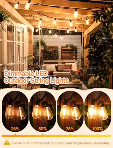 25FT LED Outdoor String Lights, 10+1 Edison S11 Dimmable Bulb Waterproof Patio Lights, Connectable Outside Hanging Strand for Backyard Garden