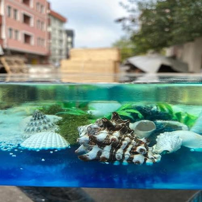 Custom River Epoxy with Shells and Stone Look Dinning Table Coffee Table Side/End Table Coastal Table Top Living Room Table Bar Counter Home Décor