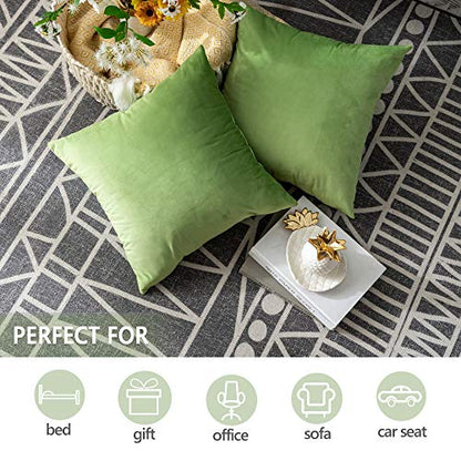 Pack of 2 Velvet Pillow Covers Square Decorative Cushion Covers for Bed Couch Sofa Bench, 20 x 20 inch (50 x 50 cm), Apple Green
