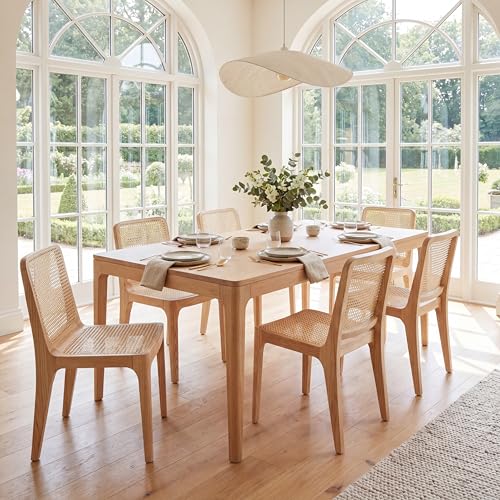 SAFAVIEH Couture Collection Frank Tropical Coastal Natural Rattan Dining Chair Set of 2