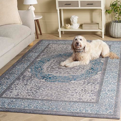 SAFAVIEH Sofia Collection Area Rug - 5'1" x 7'7", Light Grey & Blue, Vintage Oriental Distressed Design, Non-Shedding & Easy Care, Ideal for High Traffic Areas in Living Room, Bedroom (SOF365A)