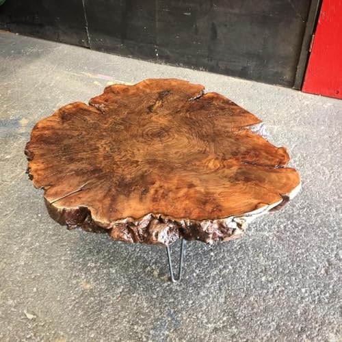 Unique Live Edge Crosscuts Epoxy Resin Coffee Table, 30 x 30 Inches, Customizable Color