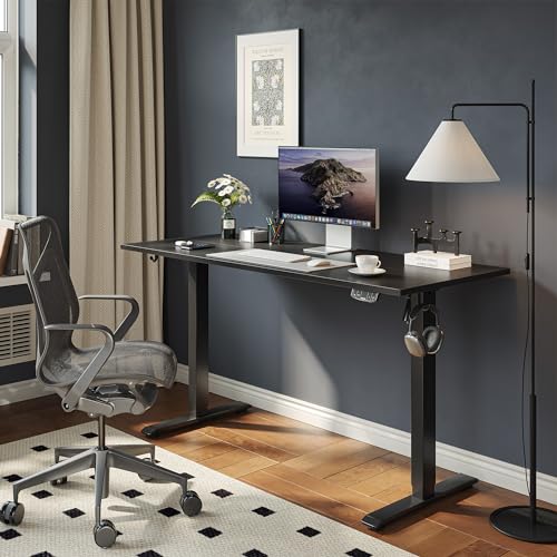 Electric Standing Desk, 48 x 24 Inches Height Adjustable Desk, Sit Stand up for Work Office Home, Ergonomic Rising Computer Table with Memory Preset, Black