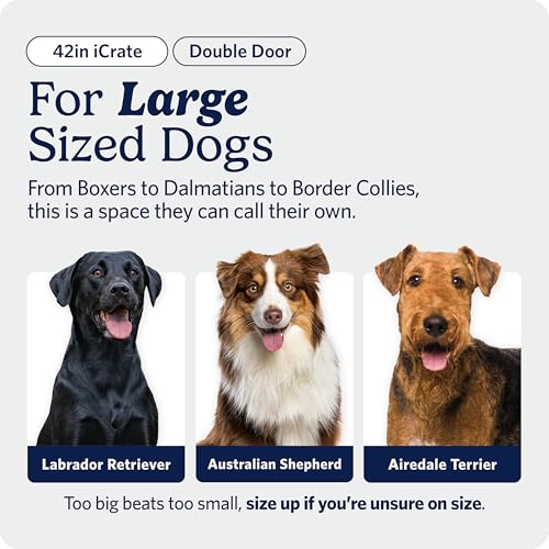 Midwest 42-Inch Double Door iCrate, for Large Breeds, 71-90 lbs, view 3