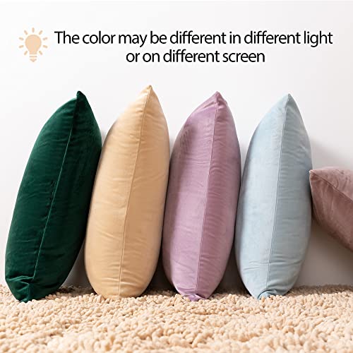 Powder Blue Velvet Throw Pillow Covers 24x24 inch, Decorative Solid Soft Cushion Cases for Couch Sofa Bed, Pack of 2