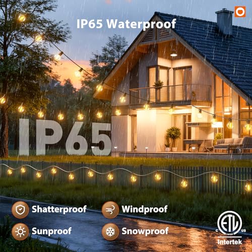 100FT Outdoor String Lights G40 with Remote, 54 LED Shatterproof Bulbs, view 4