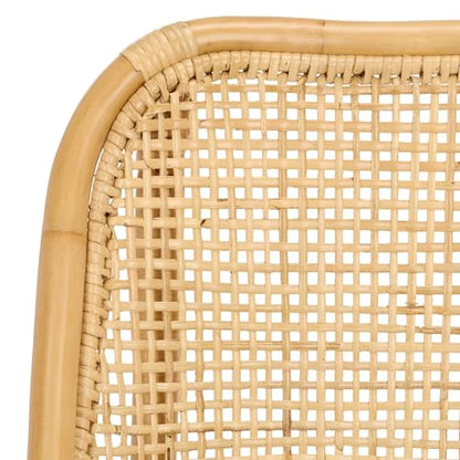 SAFAVIEH Furniture - Alina Dining Chair - Light Natural Rattan & White Cushion - Woven Armchair Design - Ideal for Dining Room, Kitchen, 18.3" Seat Height (DCH6511A)