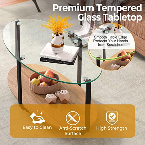 Glass Coffee Table, 2 Tier Oval Tea Table with Tempered Glass Tabletop and Wooden Shelf, Modern Glass Sofa Center Table for Home Office, Metal Legs, Home Decor Accent Cocktail Table