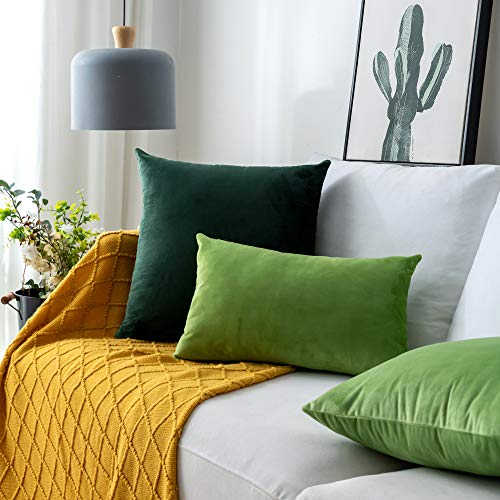 Pack of 2 Velvet Pillow Covers Square Decorative Cushion Covers for Bed Couch Sofa Bench, 20 x 20 inch (50 x 50 cm), Apple Green
