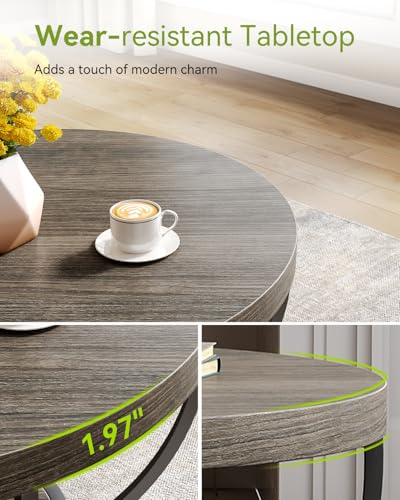 Round Coffee Table, 32" Circle Coffee Table for Living Room, 2-Tier Wood Accent Center Table with Open Storage Industrial Design Home Furniture (Grey and Black)