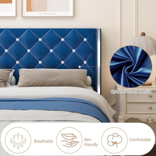 Queen Bed Frame with Velvet Headboard, Silverside Wingback, Blue, view 5