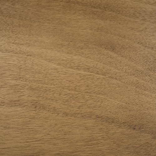 Safavieh Home Nonie Modern Chocolate Tray Top Coffee Table