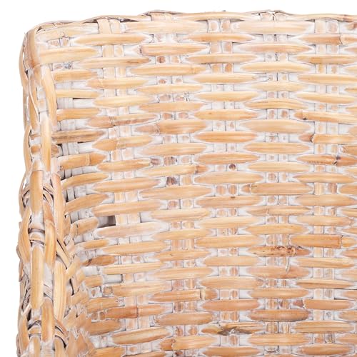 SAFAVIEH Furniture - Ventura Arm Chair - White & White-Washed - Mango Wood - Coastal Rattan Design - Ideal for Living Room, Sunroom, Bedroom, 18.1" Seat Height - Fully Assembled (FOX6505B)