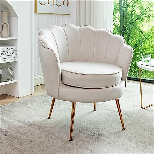 Velvet Barrel Accent Chair with Scalloped Silhouette and Gold Metal Legs, Decorative Piece Suitable for Traditional, Modern, and Contemporary Spaces, Ivory