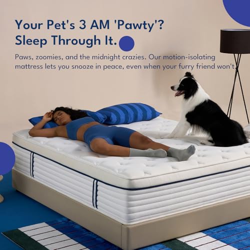 12 Inch Queen Size Mattress in a Box with Memory Foam & Pocketed Coils, view 5
