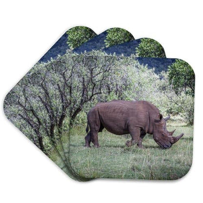 White rhinoceros photo cork coasters, set of 4, view 2