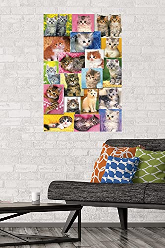 Keith Kimberlin - Kittens Collage Wall Poster, 22.375" x 34", Premium Unframed Version