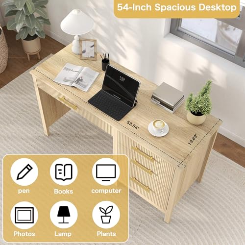 Executive Desk with Drawers: 54" Oak Home Office Desks with File Drawer, view 7