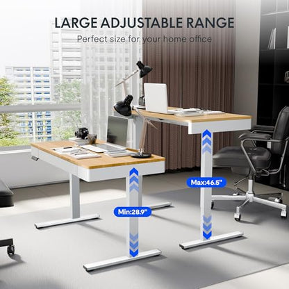FLEXISPOT Standing Desk with Drawer, 48 x 24 Inch Electric Adjustable Height Stand Up Desk with Storage Organizer, Whole Piece Wooden Desktop for Home, Office, Computer Workstation, Maple