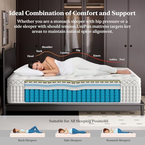 14 Inch Medium Firm Queen Mattress, Luxury Hybrid Mattress in a Box for Zoned Pressure and Back Pain Relief, Signature Collection Deep Sleep Mattresses, 10 Years Warranty, 365 Nights Trial
