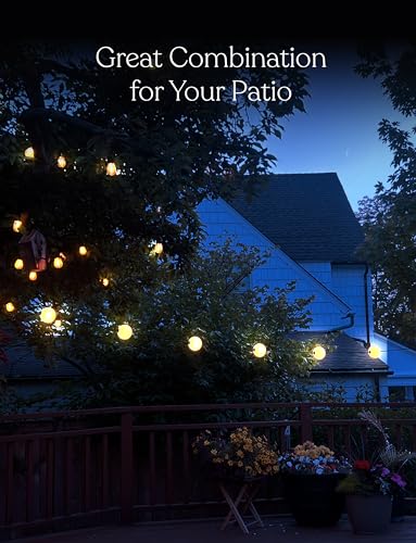 Orb Outdoor Indoor String Lights - Frosted Lantern LED String with 10 Weatherproof Globe Lights - Plug in Commercial Grade Light Strand for Patio, Porch, Garden, Café - 30 Ft, Black