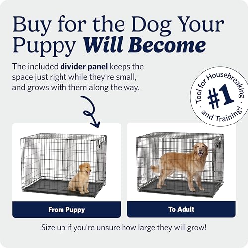 Midwest 24-Inch Single Door iCrate, for Small Breeds, 12-20 lbs, view 4