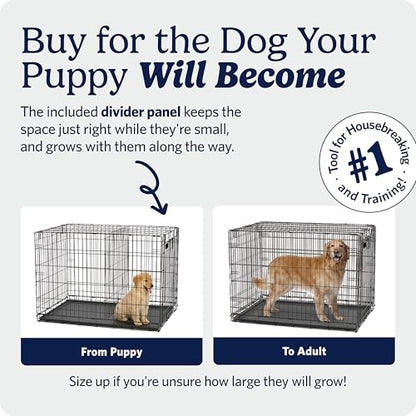 Midwest 30-Inch Single Door iCrate, for Medium Breeds, 21-40 lbs, view 4