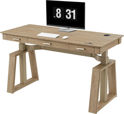Standing Desk,60X26 Executive Desk with 3 Drawer Adjustable Height Electric Desk Home Office Computer Desk Modern Workstation with Memory Controller