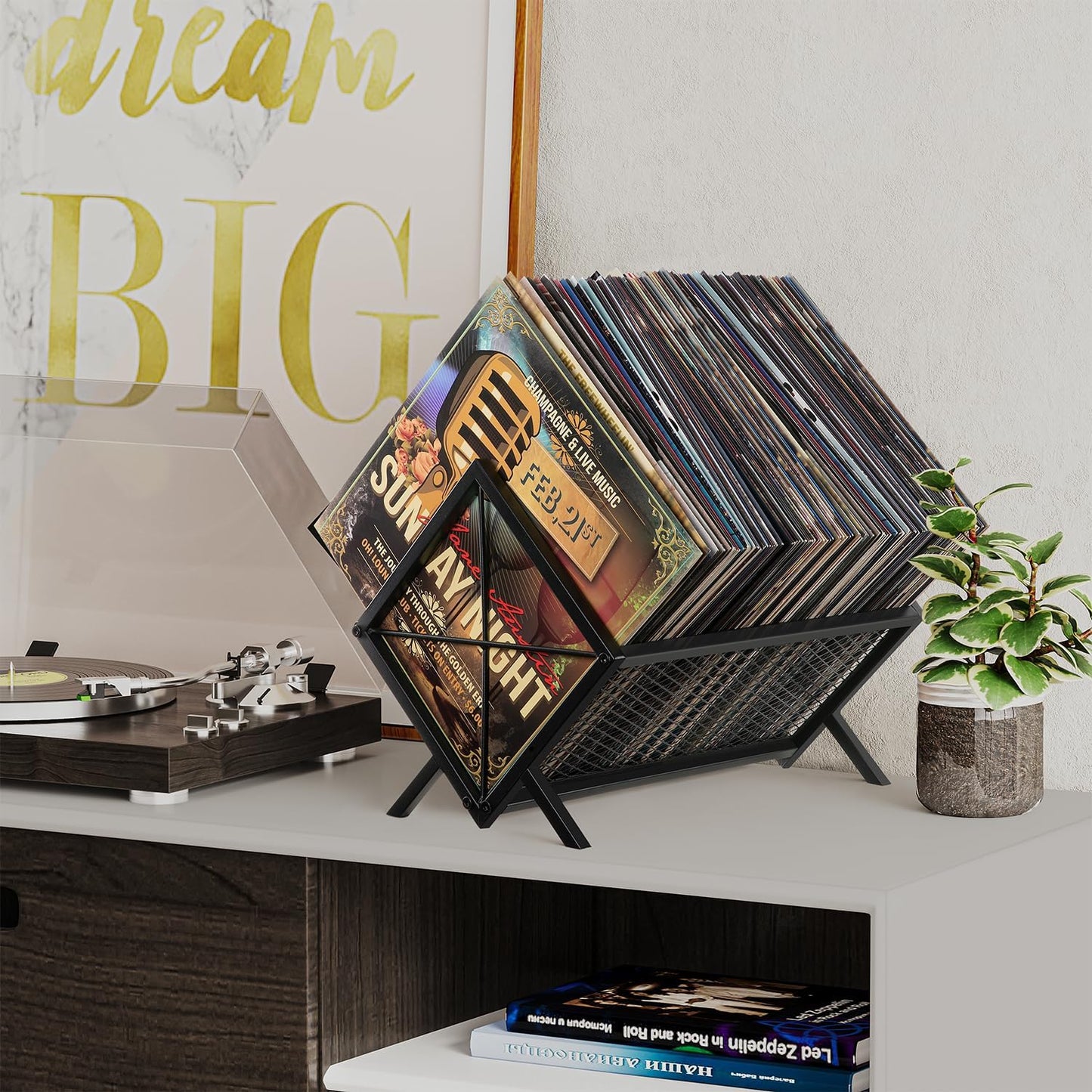 Vinyl Record Storage Holder - 80-100 LP Organizer, Metal Display Rack, Quick Assembly Album Storage for Books