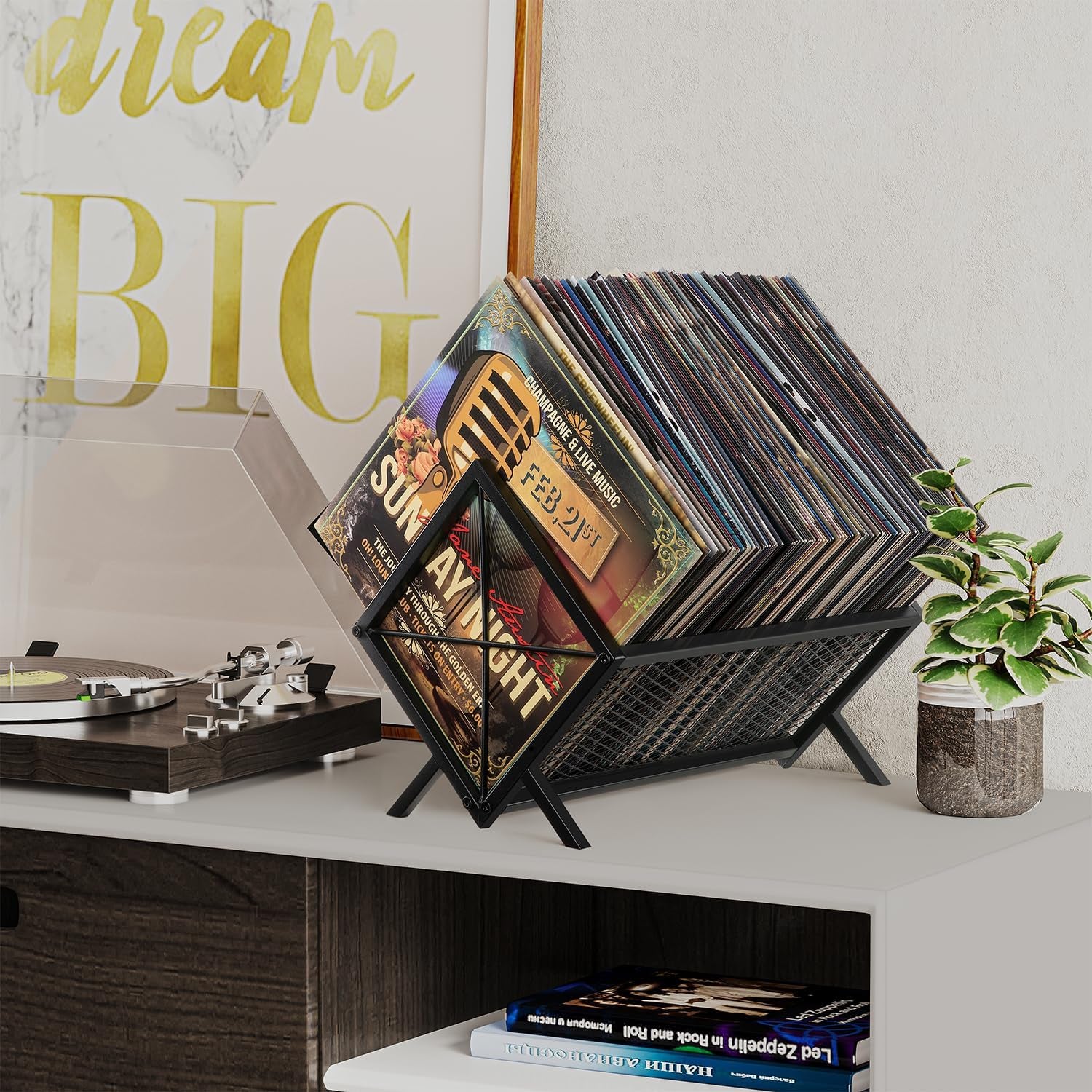 Vinyl Record Storage Holder - 80-100 LP Organizer, Metal Display Rack, Quick Assembly Album Storage for Books
