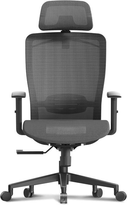 Ergonomic Office Chair, High Back Mesh Swivel Computer Chair, Executive Office Desk Chairs, with Adjustable Lumbar Support/2D Headrest/Lockable Backrest, OC3 Mesh Seat, Gray