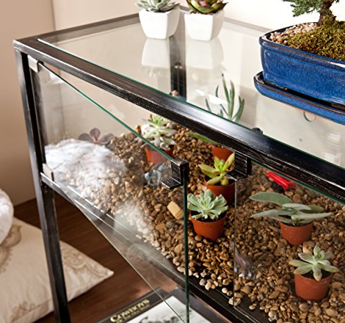 Terrarium Display Console - Transitional Design, Black Finish - Ideal for Entryway, Living Room (CK8863)