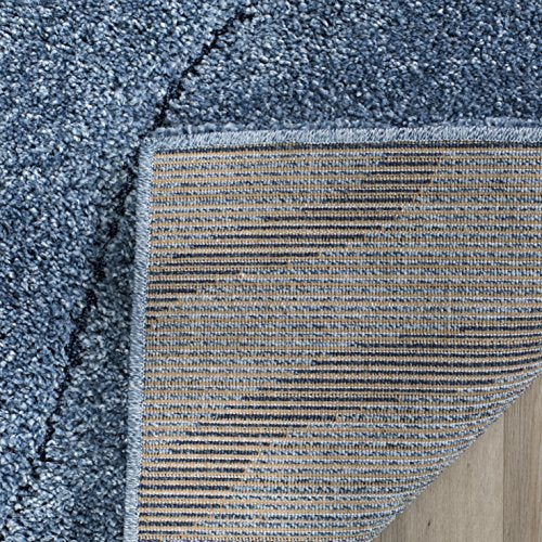 SAFAVIEH Area Rug 8x10 - Florida Shag Collection - Large - Light Blue & Blue, Non-Shedding & Easy Cleaning, Plush Thick Pile, Ideal for Living Room, Bedroom, Dining Space (SG472-6065)
