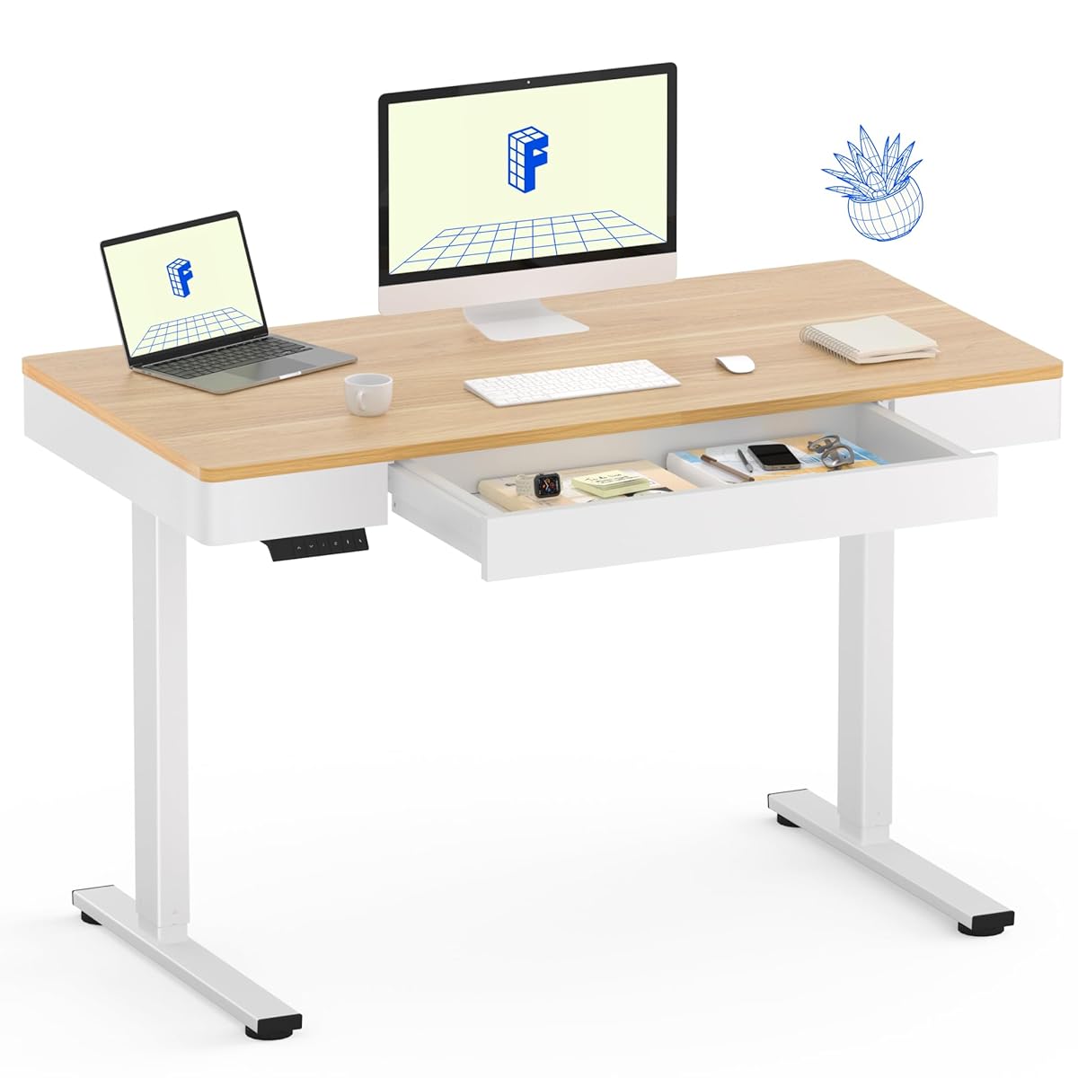 FLEXISPOT Standing Desk with Drawer, 48 x 24 Inch Electric Adjustable Height Stand Up Desk with Storage Organizer, Whole Piece Wooden Desktop for Home, Office, Computer Workstation, Maple