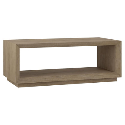 48" Rectangular Coffee Table with Open Storage Shelf for Living Room, Family Room, or Office, Weathered Gray
