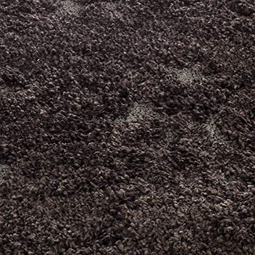 SAFAVIEH Florida Shag Collection Area Rug - 5' Square, Dark Brown & Smoke, Damask Design, Non-Shedding & Easy Care, 1.2-inch Thick Ideal for High Traffic Areas in Living Room, Bedroom (SG460-2879)