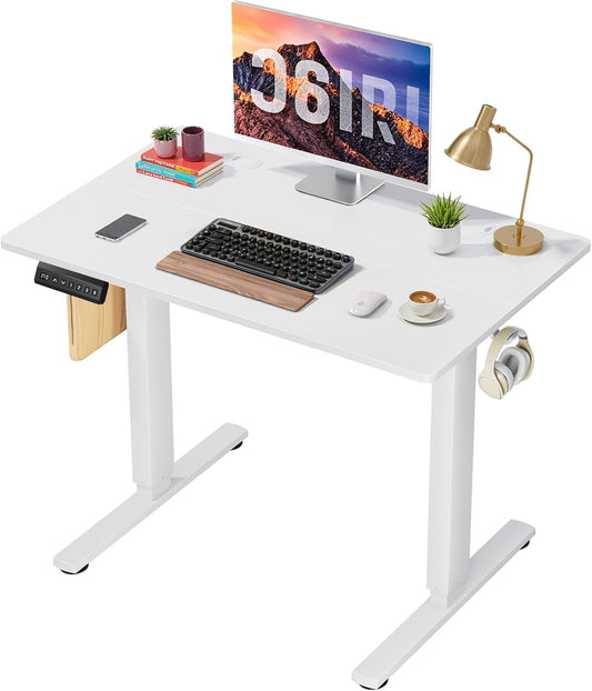 40 X 24 in Electric Standing Desk - Memory Height Adjustable Ergonomic Sit-To-Stand Rising Computer Table Gaming Workstations with 2 Hooks and Wire Hole for Home Office, White
