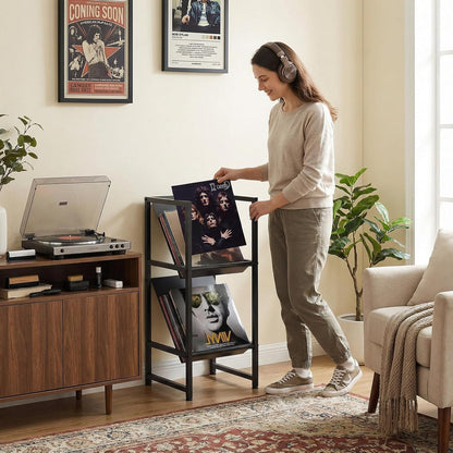 Conceptual Design Vinyl Record Storage, 2 Tier Black Metal Record Holder, Stylish Storage Solution for Your Collection