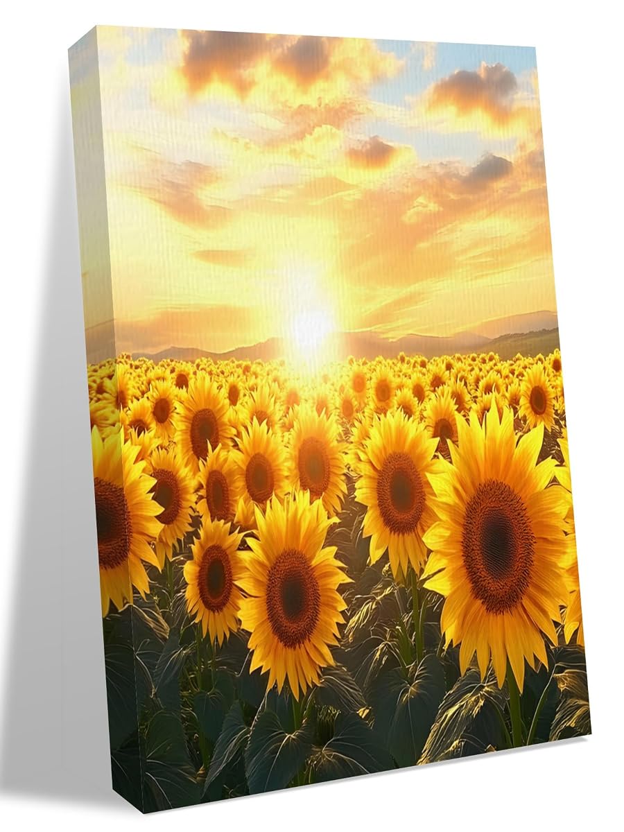 NuYeBiofx Summer Farm Sunflowers Canvas Wall Art Prints,48"x32" Framed Picture Artwork Watercolor Sunset Printed Canvas Oil Painting for Living Room Bedroom Office,Ready to Hang