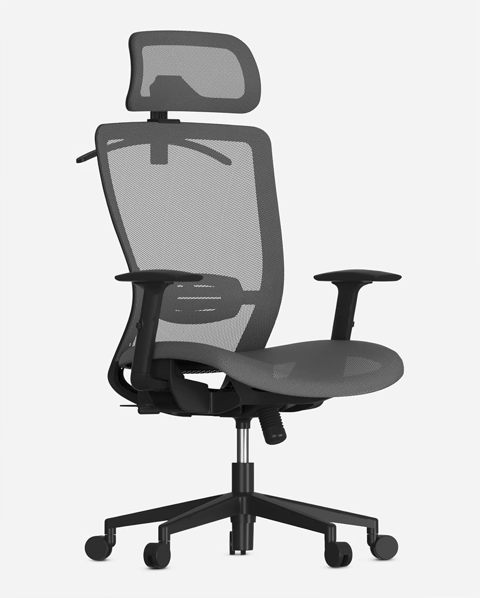FLEXISPOT OC3 Ergonomic Office Chair High Back Mesh Computer Chair, Gray
