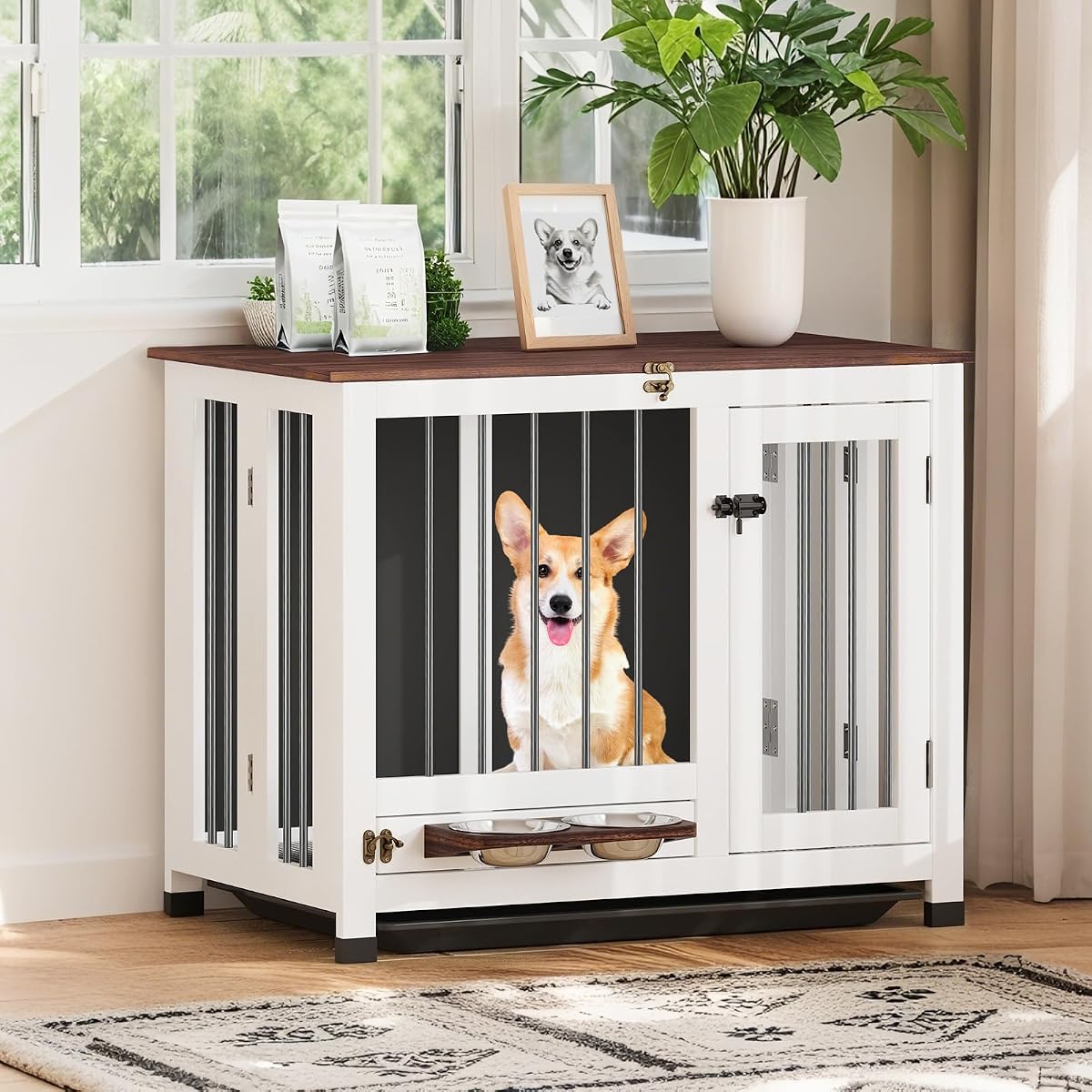 Dog Crate