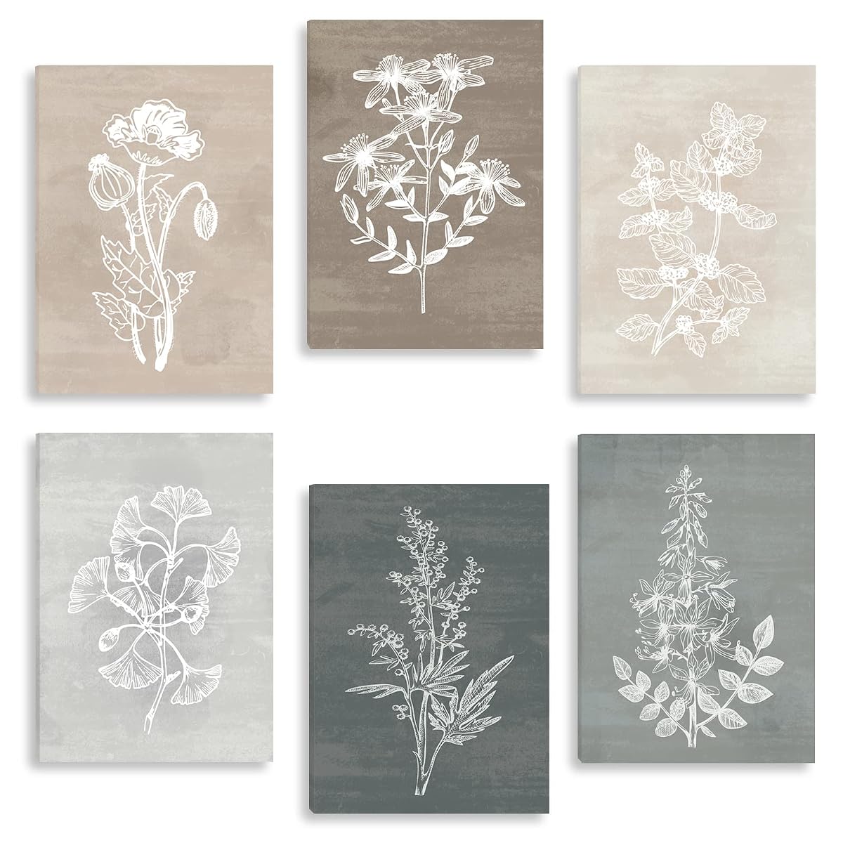 Neutral Botanical Plant Canvas 6 Pieces Wall Art Rustic Wall Decor Farmhouse Wall Paintings Botanical Prints Simple Plants Wall Pictures Minimalist Flower Decor for Living Room Bedroom Bathroom Office Dining Room 12"x 16"