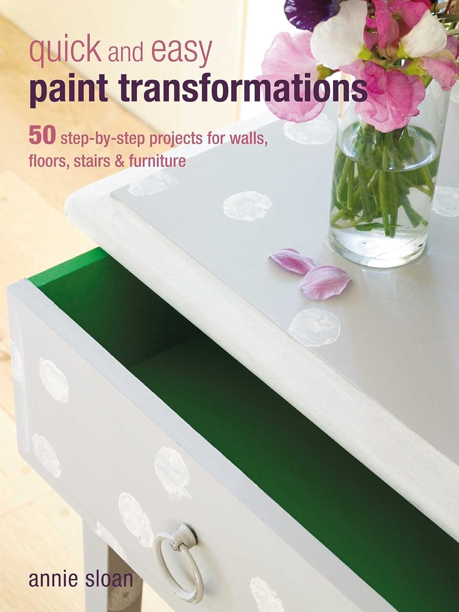 Quick and Easy Paint Transformations project book