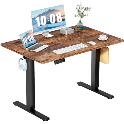 48 Inch Electric Standing Desk, Memory Adjustable Home Office Desk