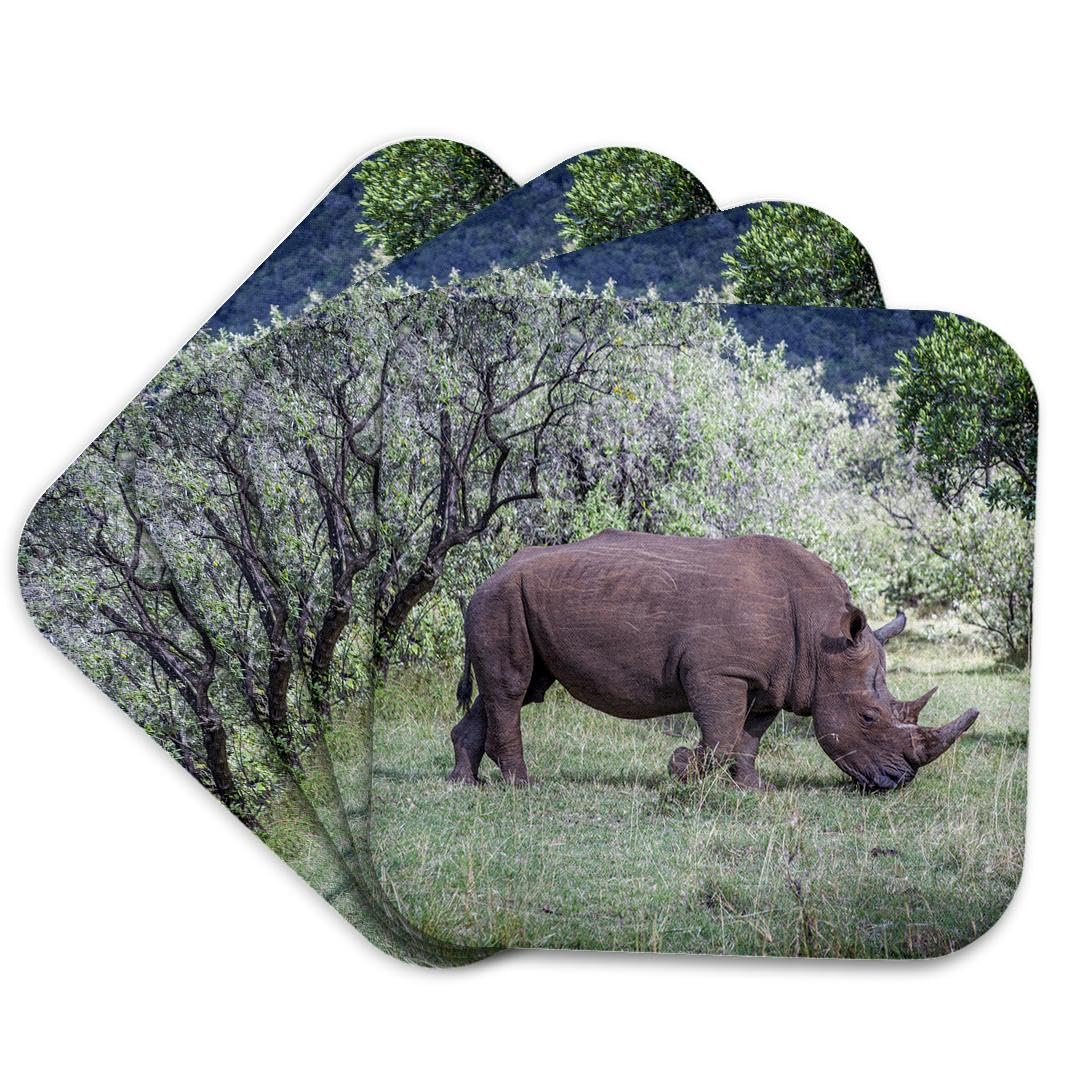 White rhinoceros photo cork coasters, set of 4