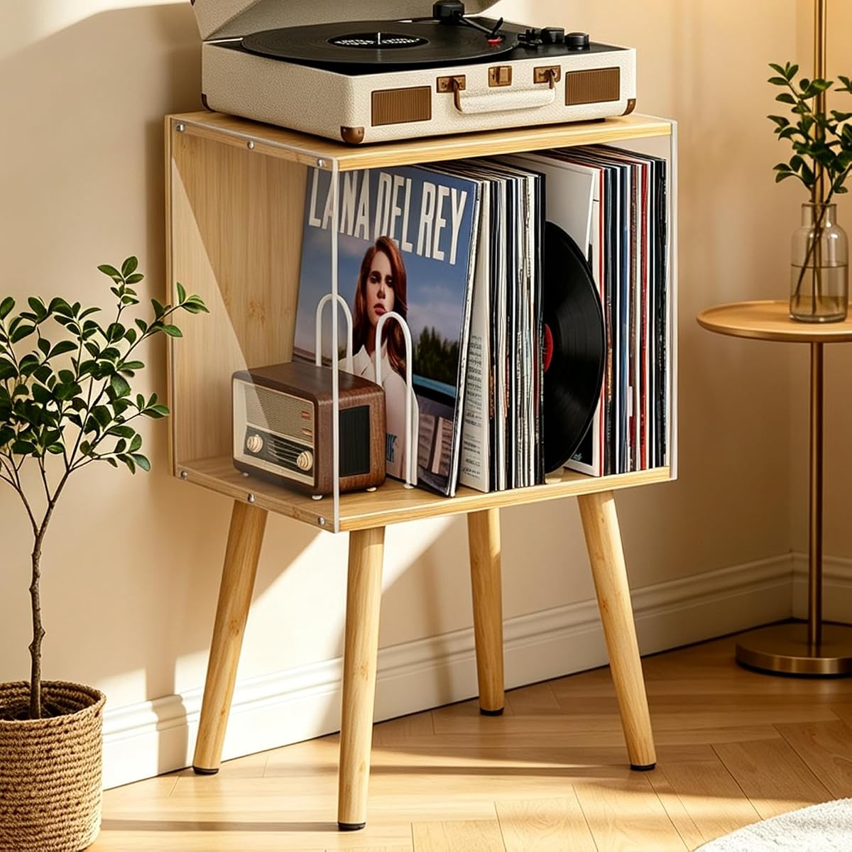 Vinyl Record Storage with Acrylic Side Panels