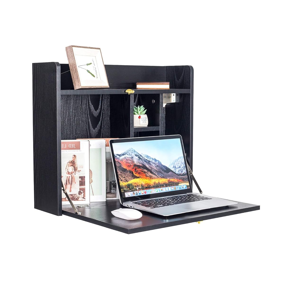 Wall Mounted Table, Multifunctional Fold Down Wall Mounted Laptop Computer Desk with Storage Compartments for Home, Office (Black)
