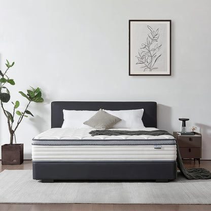 12 Inch Queen Mattress in a Box, Medium Firm Hybrid Mattress with Pocket Springs and Comfort Foam- Edge Support, Motion Isolation & Pressure Relief
